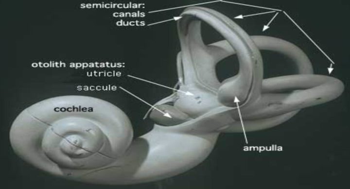 best hearing aid in india
